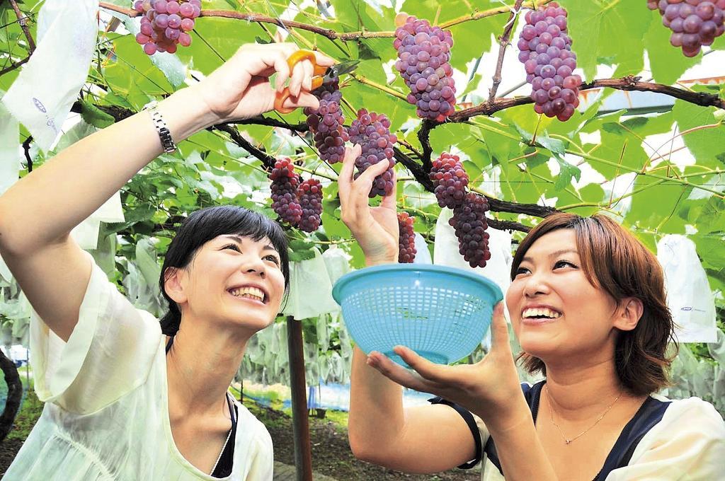 Shorenji Lake Hotel Nabari Ngoại thất bức ảnh